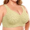Leopard Green